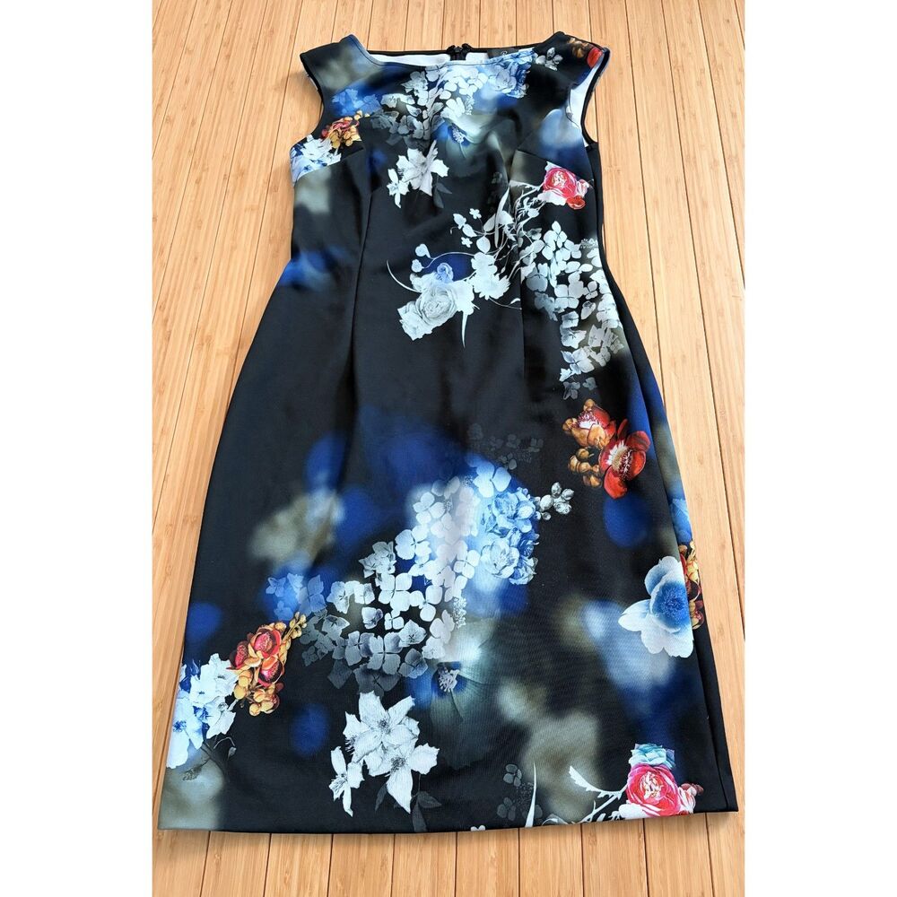 Adrianna Papell Women’s Size 10 Black & Blue Floral Sleeveless Dress
